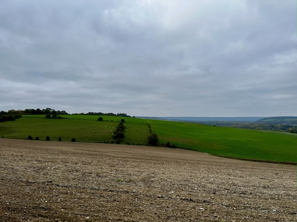 Champs du côté est de la Forêt Régionale de la Roche-Guyon, en direction de Gasny (Île-de-France, France) Champs du côté est de la Forêt Régionale de la Roche-Guyon, en direction de Gasny (Île-de-France, France)