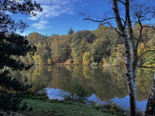 Les étangs de l'Andelle (Forges-les-Eaux, Normandie) Les étangs de l'Andelle (Forges-les-Eaux, Normandie)