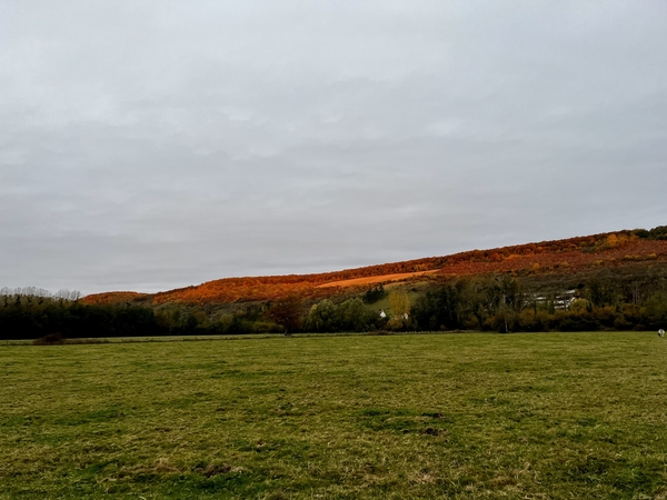 Rayons de soleil rougissant un relief dans la campagne près de Giverny (Normandie) Rayons de soleil rougissant un relief dans la campagne près de Giverny (Normandie)